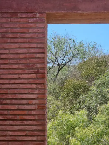 Hueco rectangular en el ladrillo como marco de la vegetación.