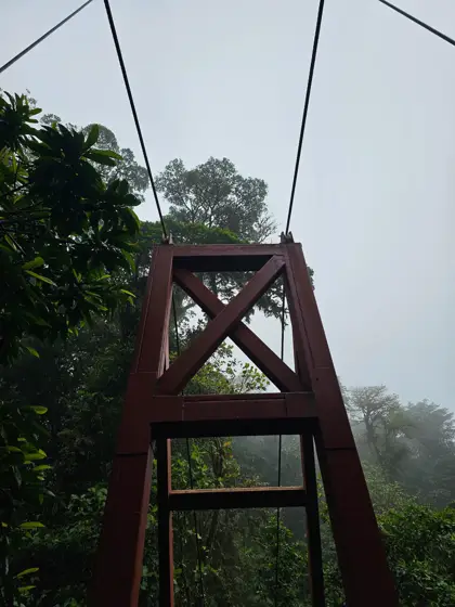 Estructura y cables de un puente dentro de la niebla.