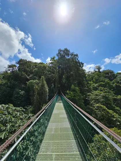 Pasarela suspendida entre el cielo y el bosque.