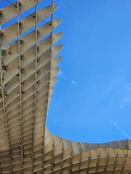 Metropol Parasol: la retícula de madera dibujando una curva.