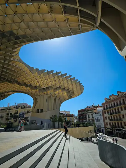 La cubierta curvada enmarcando el cielo y la plaza.