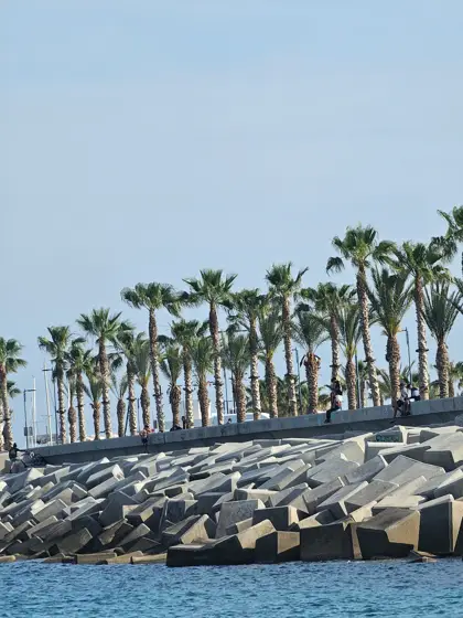 Palmeras y borde construido acompañando la costa.