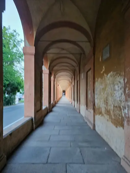 Bóvedas y columnas construyendo la profundidad de un pórtico.
