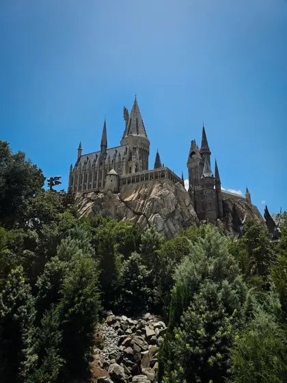 Torres de un castillo emergiendo sobre la vegetación.
